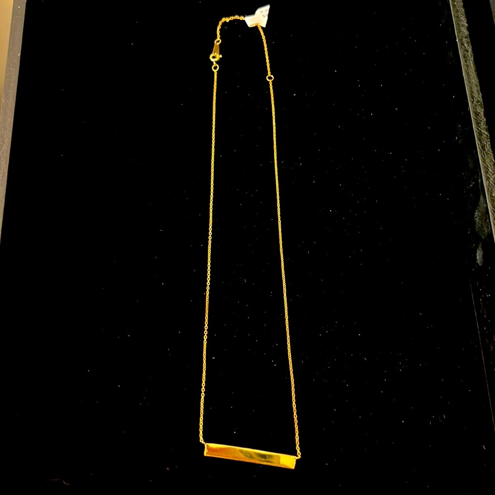 Chic bar necklace NWT 🤩
